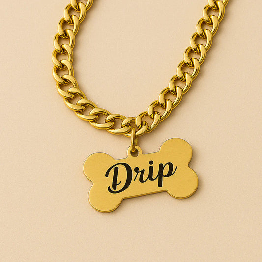 Custom Dog Name Tag with Premium Chain |