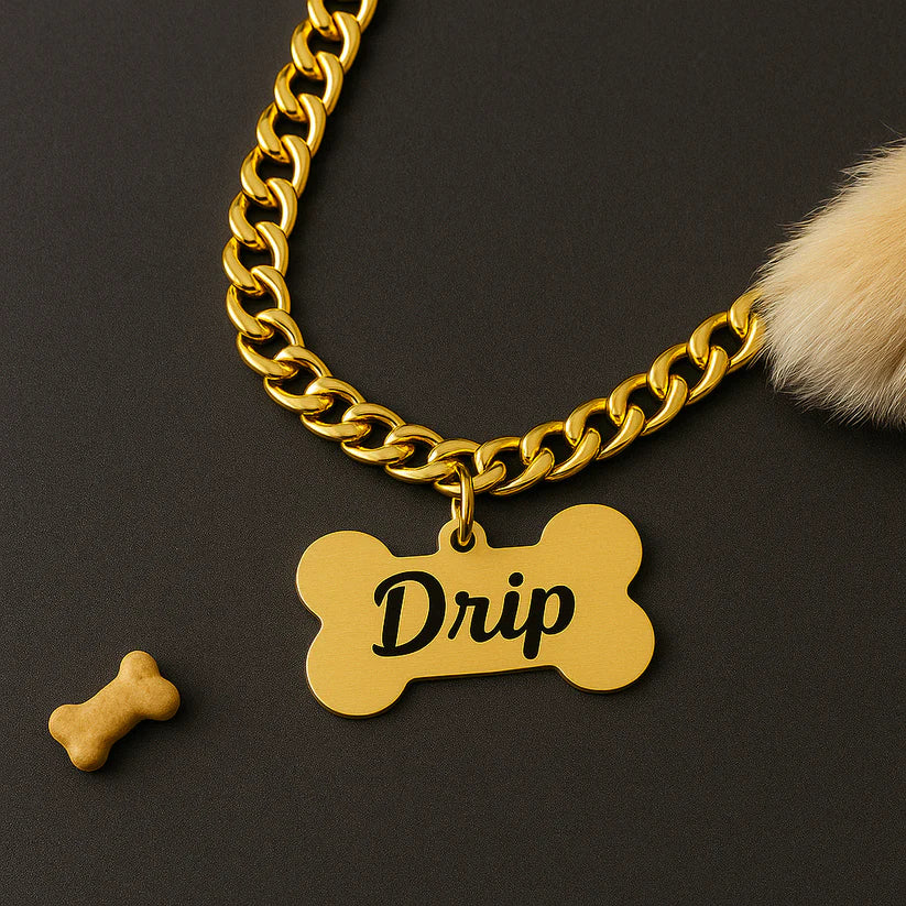 Custom Dog Name Tag with Premium Chain |