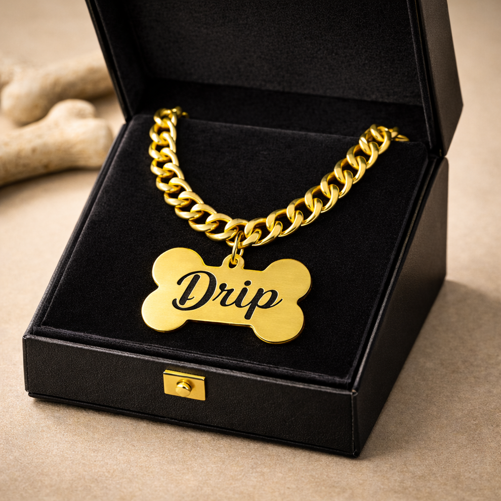 Custom Dog Name Tag with Premium Chain |